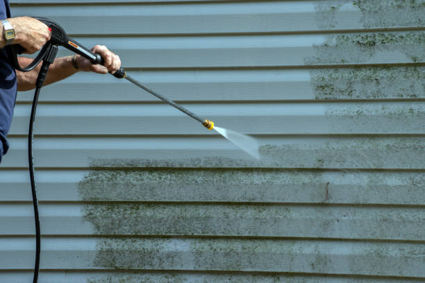 Best Roof Pressure Washing  in Honolulu, HI